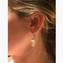 Ice Crystal Drops/French Clips